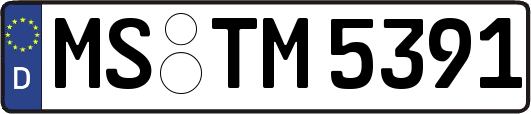 MS-TM5391