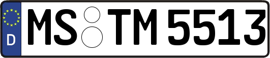 MS-TM5513