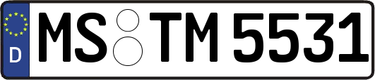 MS-TM5531