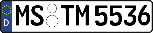 MS-TM5536