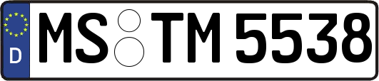 MS-TM5538