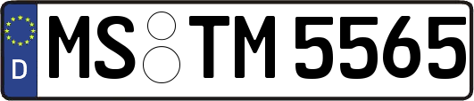 MS-TM5565