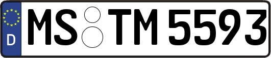 MS-TM5593