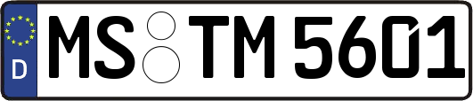 MS-TM5601