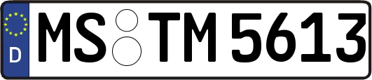 MS-TM5613