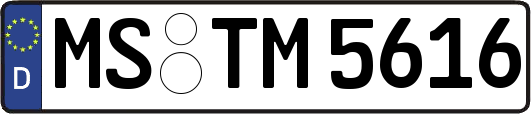 MS-TM5616