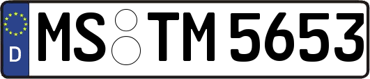 MS-TM5653