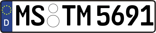 MS-TM5691