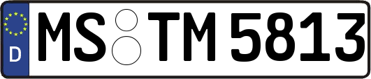 MS-TM5813