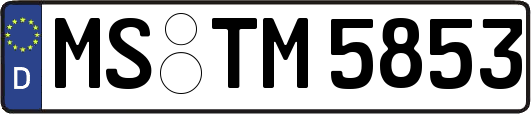 MS-TM5853