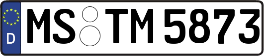 MS-TM5873