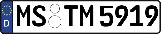 MS-TM5919