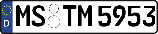 MS-TM5953