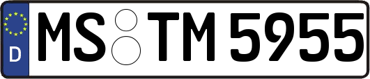 MS-TM5955