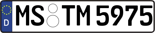 MS-TM5975
