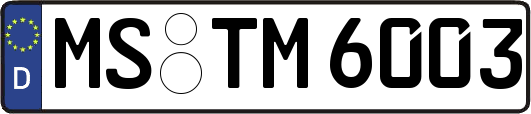 MS-TM6003