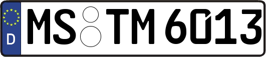 MS-TM6013