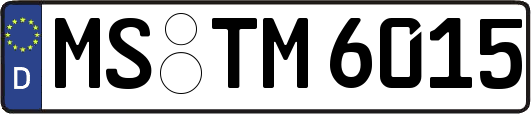 MS-TM6015