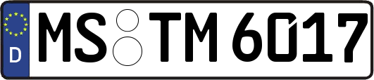 MS-TM6017