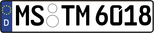 MS-TM6018