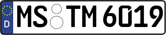 MS-TM6019