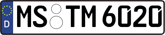 MS-TM6020