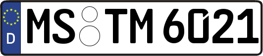 MS-TM6021