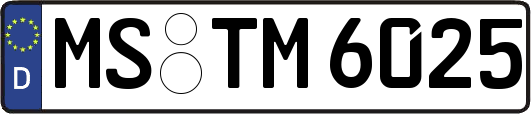 MS-TM6025