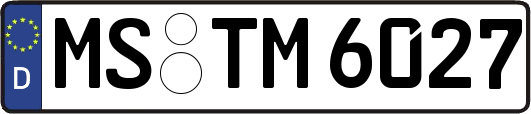 MS-TM6027