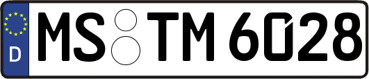 MS-TM6028