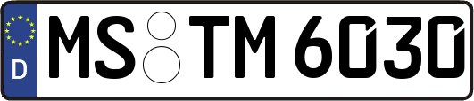 MS-TM6030