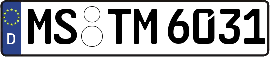 MS-TM6031