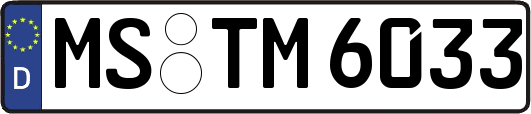 MS-TM6033