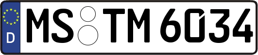 MS-TM6034