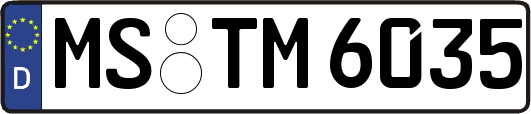 MS-TM6035