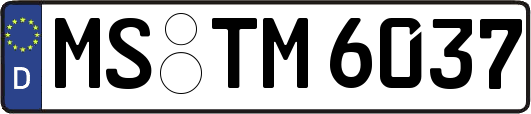 MS-TM6037