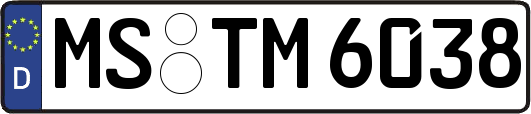MS-TM6038