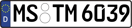 MS-TM6039
