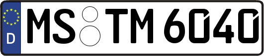 MS-TM6040
