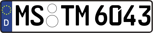 MS-TM6043