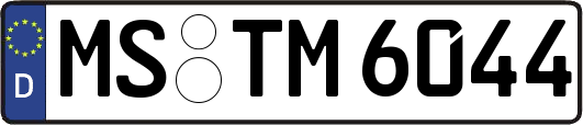MS-TM6044