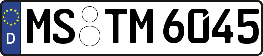 MS-TM6045