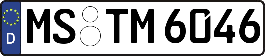 MS-TM6046