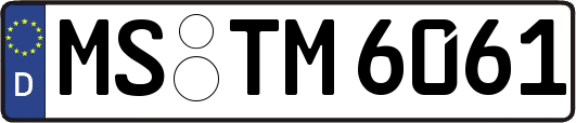 MS-TM6061