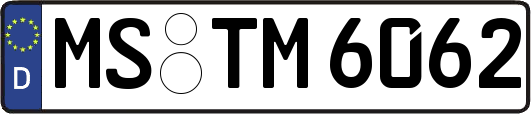 MS-TM6062