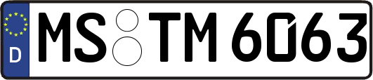 MS-TM6063