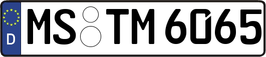 MS-TM6065