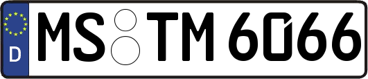 MS-TM6066