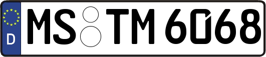 MS-TM6068