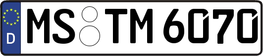 MS-TM6070